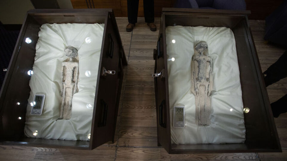 'Uzaylı fosili' iddiasına NASA'dan yanıt