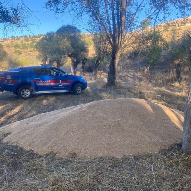 Araziye 3 ton buğday bıraktılar