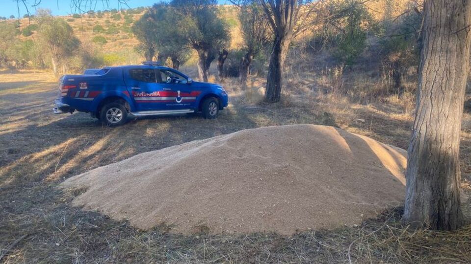 Araziye 3 ton buğday bıraktılar