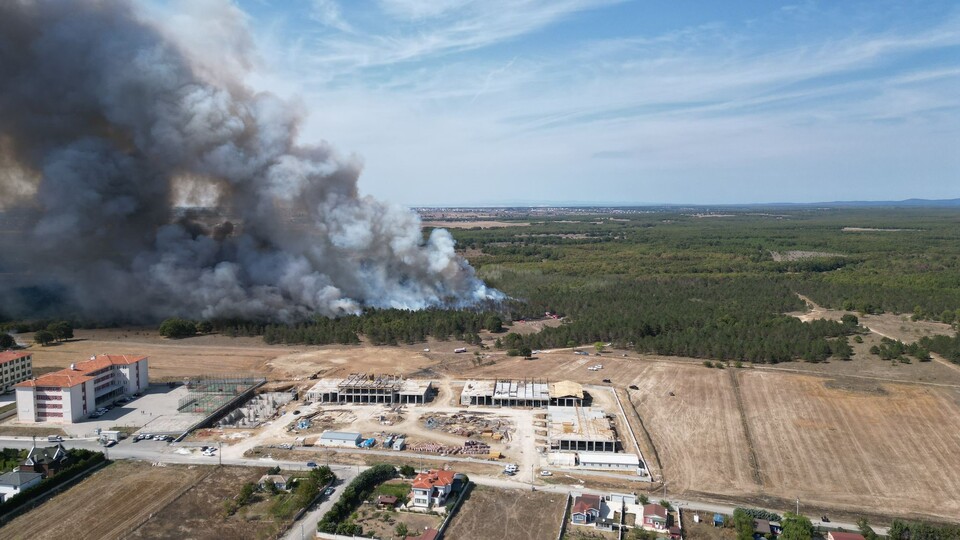 Tekirdağ'da ormanlık alanda yangın!