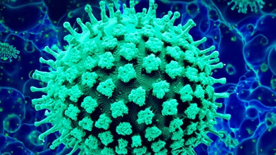 Prof. Dr. İsmail Balık'tan Eris varyantı açıklaması