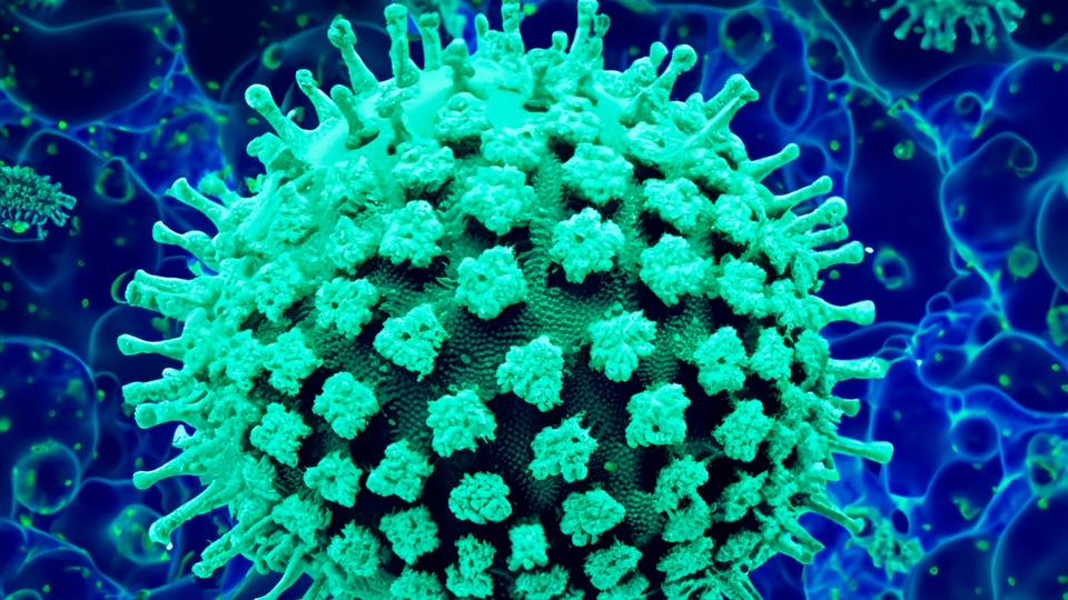 Prof. Dr. İsmail Balık'tan Eris varyantı açıklaması