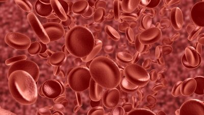 Kemik iliği bağışı sayesinde kansere "elveda" dediler