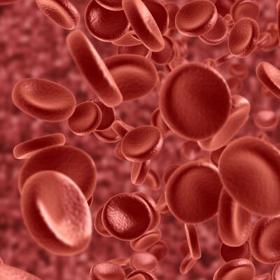 Kemik iliği bağışı sayesinde kansere "elveda" dediler