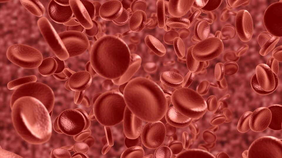 Kemik iliği bağışı sayesinde kansere "elveda" dediler