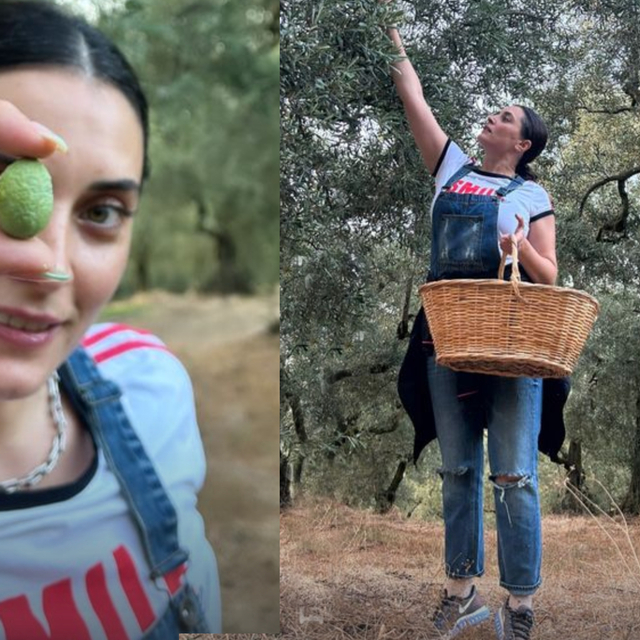  "Zeytinler kendi bahçemden"