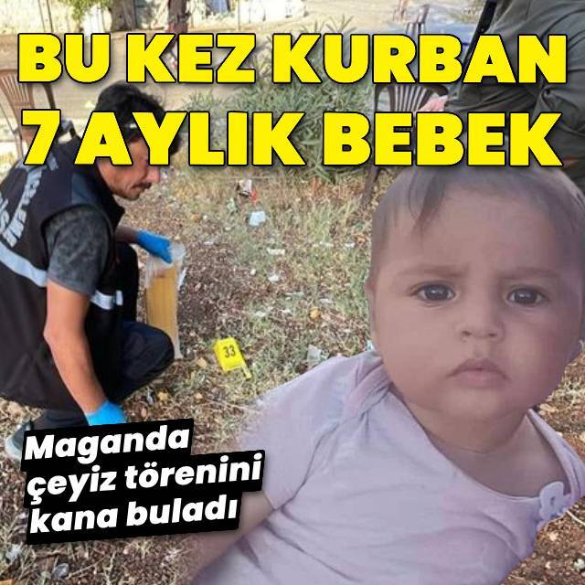  7 aylık Bayram maganda kurbanı oldu!