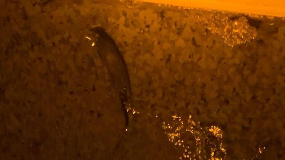 Vatandaşlar fark etti