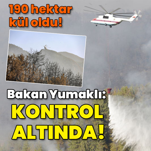 190 hektar kül oldu! Bakan Yumaklı: Yangın kontrol altında!