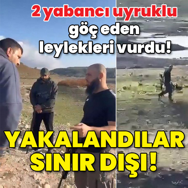 2 yabancı uyruklu göç eden leylekleri vurdu! Yakalandılar sınır dışı!