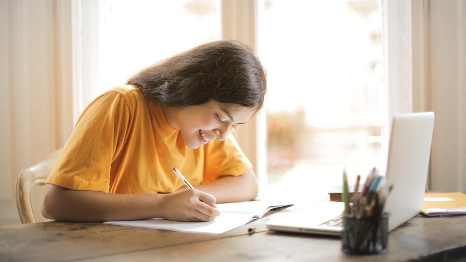 Fındık Eksperliği bölümü nedir?