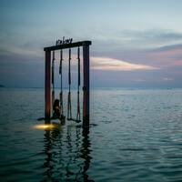 Rüyada Vinç Görmek