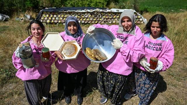 Pembe kıyafetli kadınlardan bal hasadı