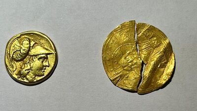 Tam 267 adet! Peynir bidonundan servet çıktı!