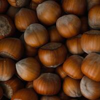 Fındık yetiştiriciliği ve püf noktaları