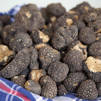 Trüf mantarı yetiştiriciliği ve püf noktaları