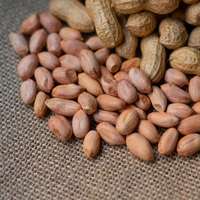 Yer fıstığı yetiştiriciliği ve püf noktaları