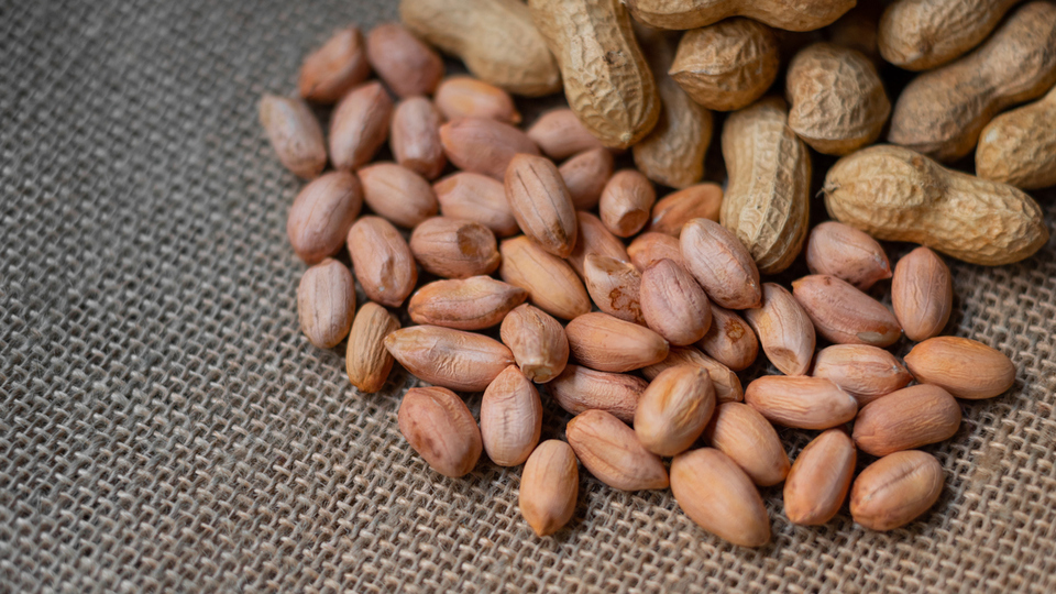 Yer fıstığı yetiştiriciliği ve püf noktaları