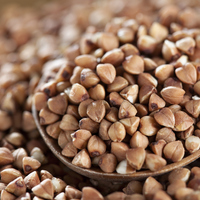 Karabuğday yetiştiriciliği ve püf noktaları