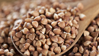 Karabuğday yetiştiriciliği ve püf noktaları