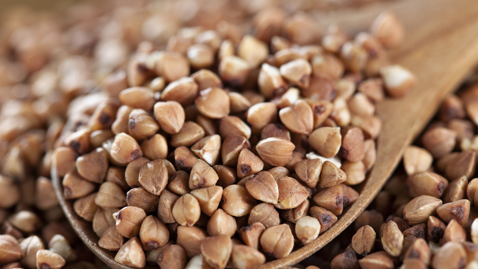 Karabuğday yetiştiriciliği ve püf noktaları