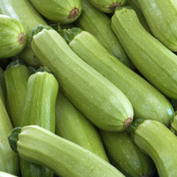 Kabak yetiştiriciliği ve püf noktaları