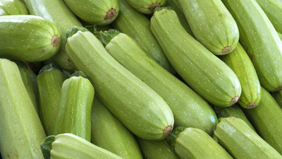 Kabak yetiştiriciliği ve püf noktaları