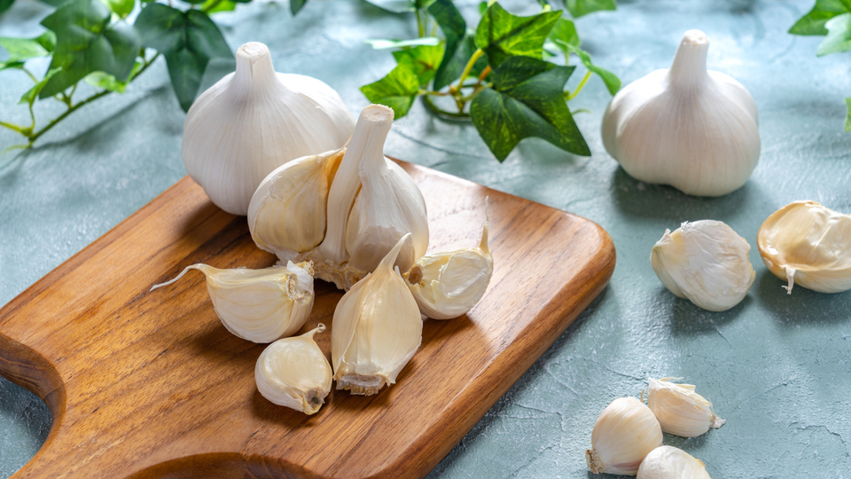 Sarımsak yetiştiriciliği ve püf noktaları