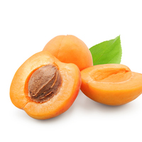 Kayısı yetiştiriciliği ve püf noktaları