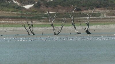 İSKİ son veriyi açıkladı! İşte barajların doluluk oranı!