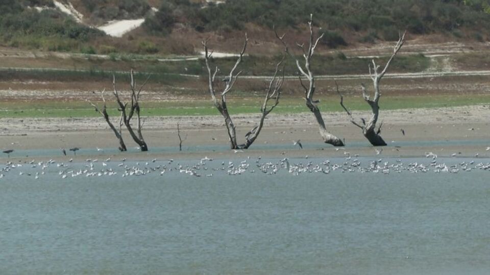 İSKİ son veriyi açıkladı! İşte barajların doluluk oranı!