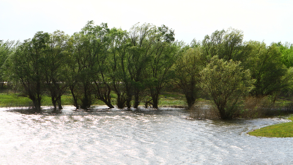 Yamaç yağışı nedir, nasıl oluşur?