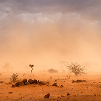 Sert karasal iklim nedir, nerelerde görülür?