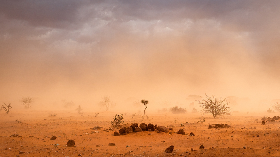 Sert karasal iklim nedir, nerelerde görülür?