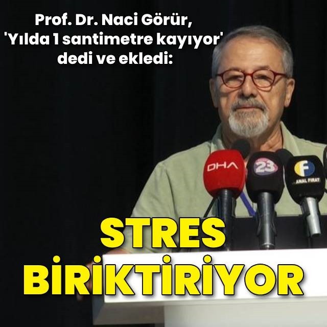 Prof. Görür: Yılda 1 cm. batıya kayıyor