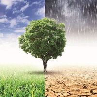 Akdeniz iklim tipi özellikleri