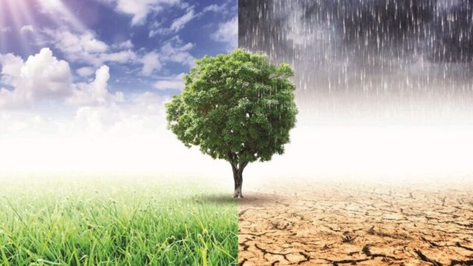 Akdeniz iklim tipi özellikleri