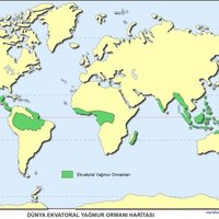 Ekvatoral iklim tipi özellikleri