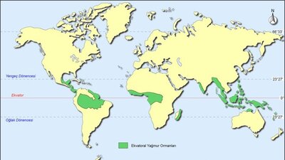 Ekvatoral iklim tipi özellikleri