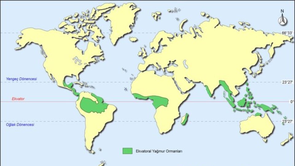 Ekvatoral iklim tipi özellikleri