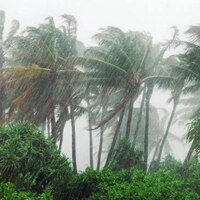 Ilıman okyanusal iklim tipi özellikleri