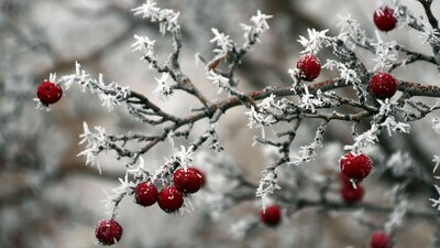Kırağı nedir, nasıl oluşur?