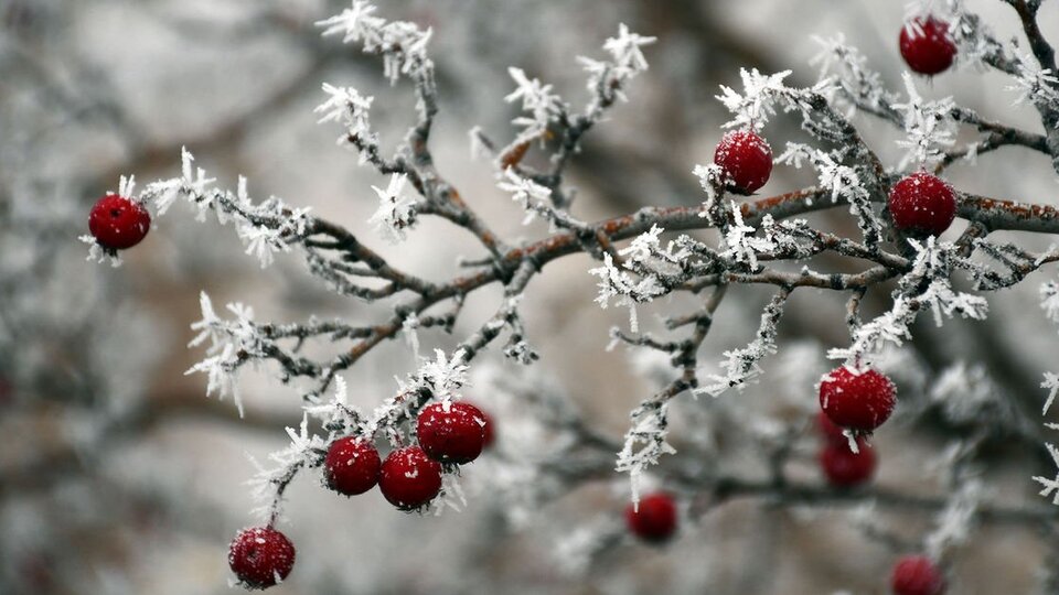 Kırağı nedir, nasıl oluşur?