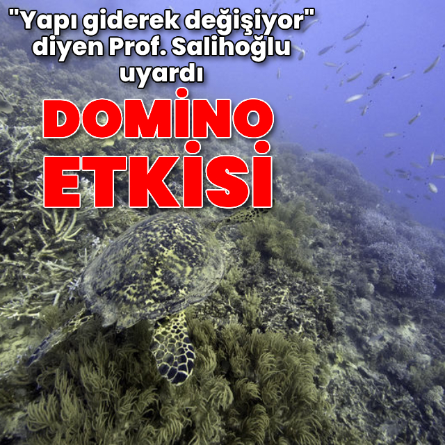 Rekor değer! Tehlike altında