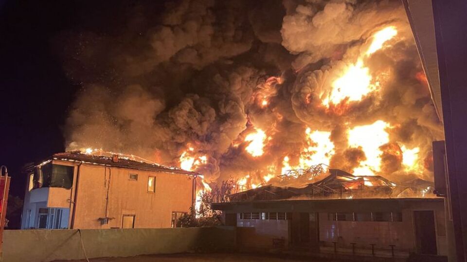 Sakarya'da korkutan yangın