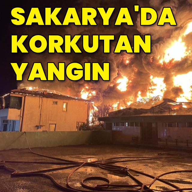 Sakarya'da korkutan yangın