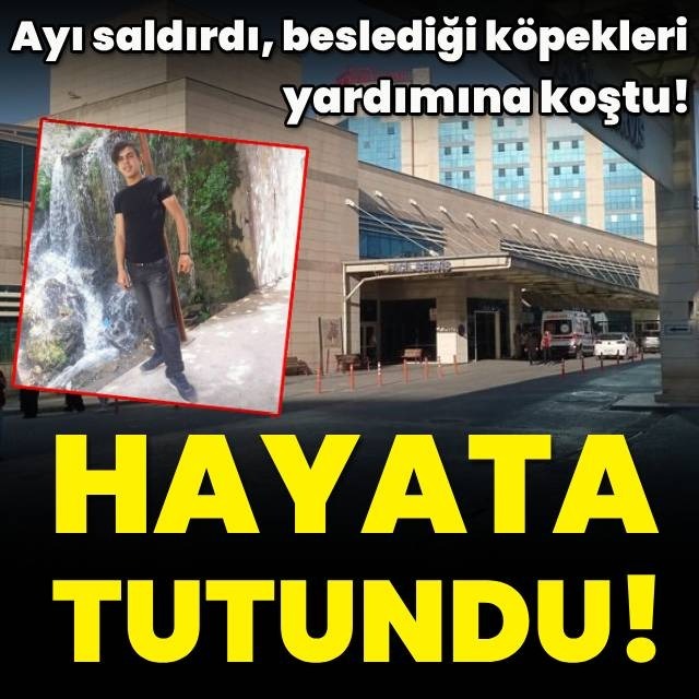 Köpekler hayat kurtardı