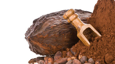 Kakao ağacı bakımı, özellikleri