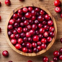 Kızılcık ağacı bakımı, özellikleri