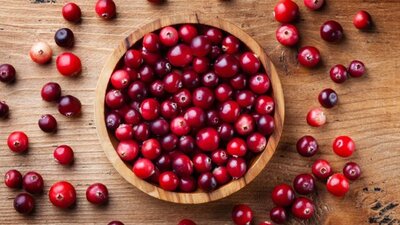 Kızılcık ağacı bakımı, özellikleri